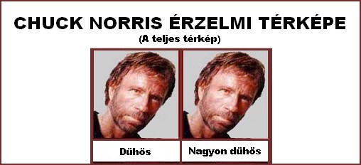 chuck-norris-erzelmei-full.jpg