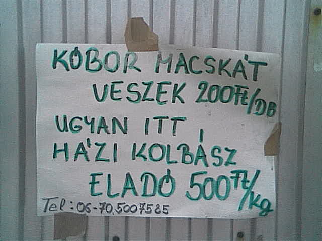 macskakolbasz.jpg